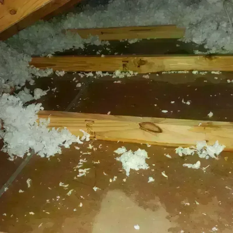 Attic Water Damage in Oakland, CA