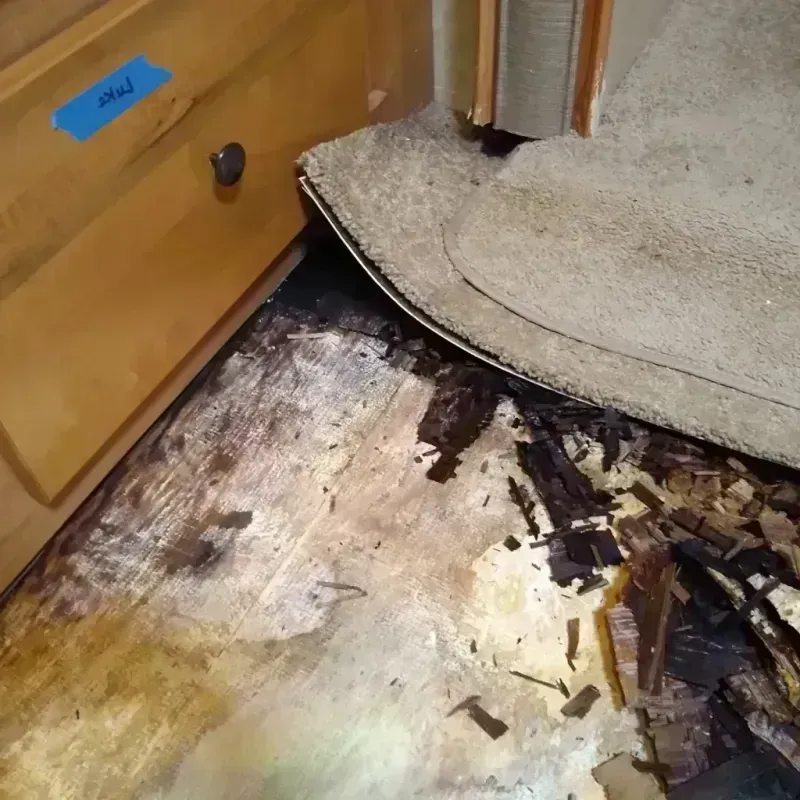 Wood Floor Water Damage in Oakland, CA